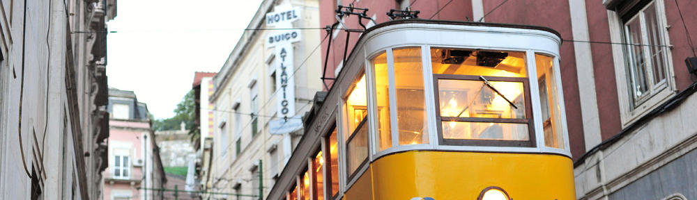 Grow a Garden Script